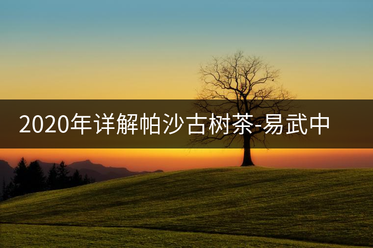 2020年詳解帕沙古樹茶-易武中聘號(hào) 2020年詳解帕沙古樹茶-易武中聘號(hào)