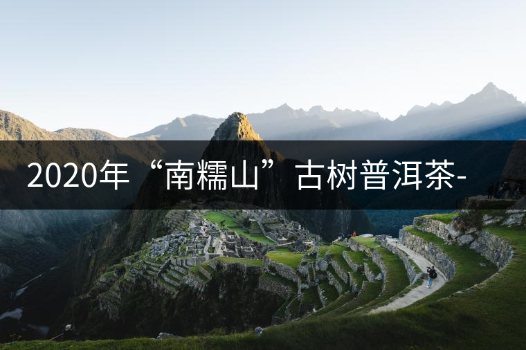 2020年“南糯山”古樹(shù)普洱茶-易武中聘號(hào) 2020年“南糯山”古樹(shù)普洱茶-易武中聘號(hào)
