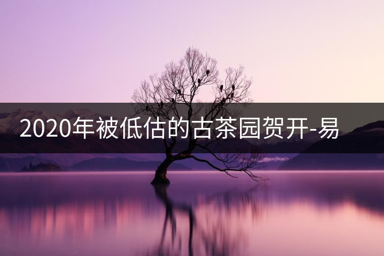 2020年被低估的古茶園賀開-易武中聘號 2020年被低估的古茶園賀開-易武中聘號