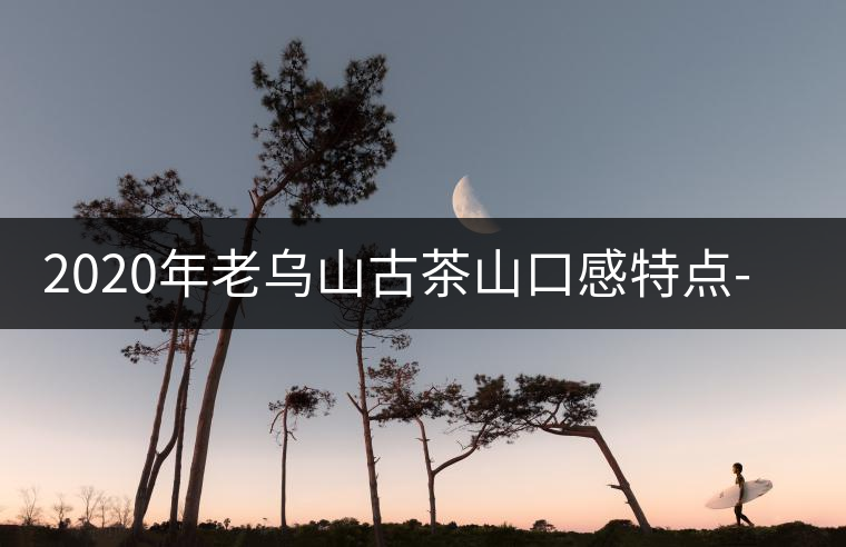 2020年老烏山古茶山口感特點-易武中聘號 2020年老烏山古茶山口感特點-易武中聘號