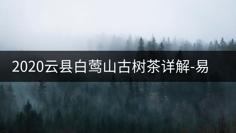 2020云縣白鶯山古樹茶詳解-易武中聘號 2020云縣白鶯山古樹茶詳解-易武中聘號