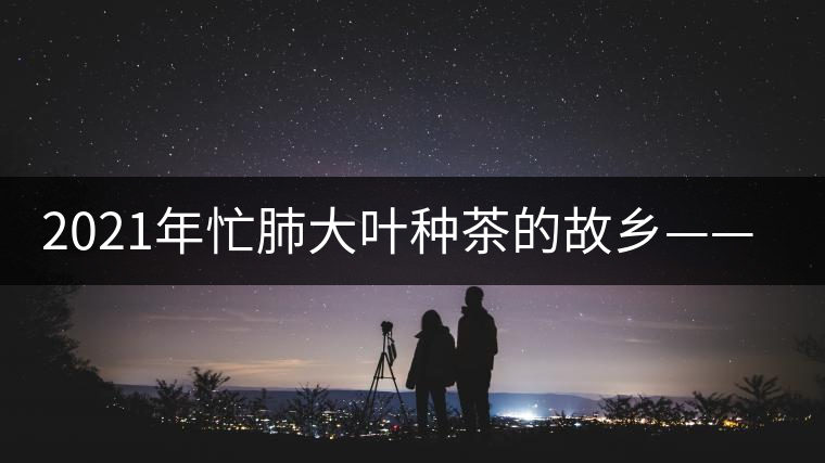 2021年忙肺大葉種茶的故鄉(xiāng)——臨滄永德 -易武中聘號 2021年忙肺大葉種茶的故鄉(xiāng)——臨滄永德 -易武中聘號