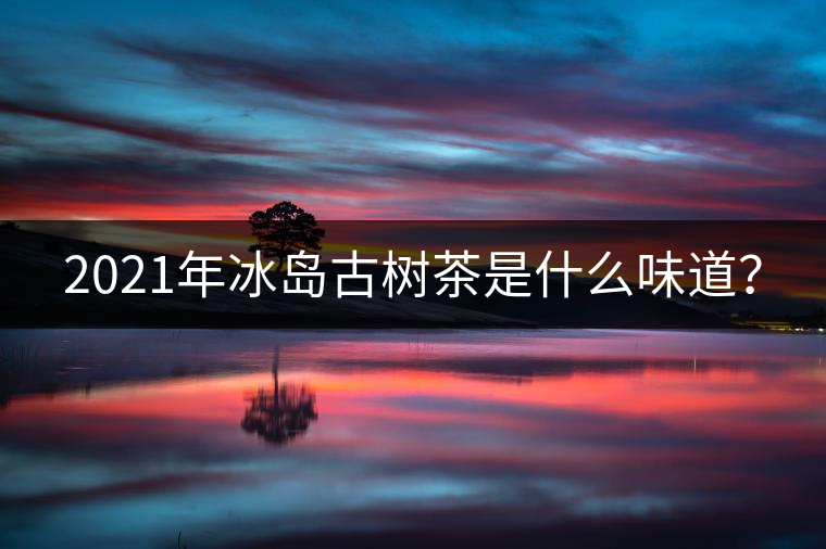 2021年冰島古樹茶是什么味道？