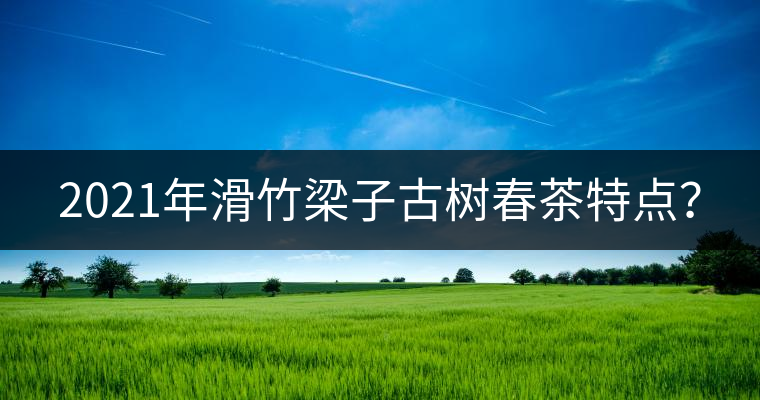 2021年滑竹梁子古樹(shù)春茶特點(diǎn)? 2021年滑竹梁子古樹(shù)春茶特點(diǎn)?