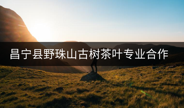 昌寧縣野珠山古樹茶葉專業(yè)合作社簡(jiǎn)介 昌寧縣野珠山古樹茶葉專業(yè)合作社簡(jiǎn)介