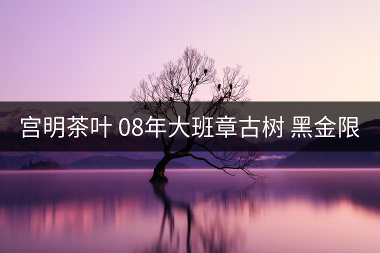 宮明茶葉 08年大班章古樹(shù) 黑金限量版 金醇茶磚 好不好喝? 宮明茶葉 08年大班章古樹(shù) 黑金限量版 金醇茶磚 好不好喝?