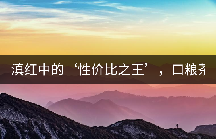 滇紅中的‘性價比之王’，口糧茶首選！