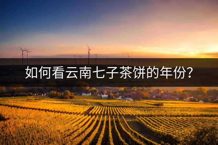 如何看云南七子茶餅的年份？
