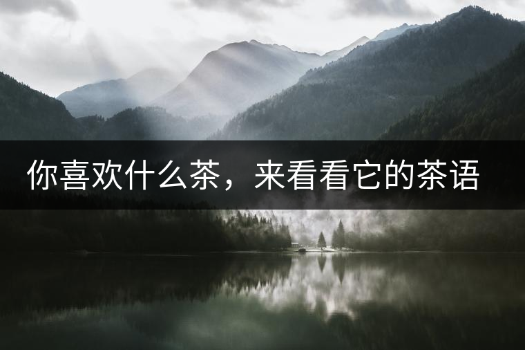 你喜歡什么茶，來看看它的茶語和性格是什么？