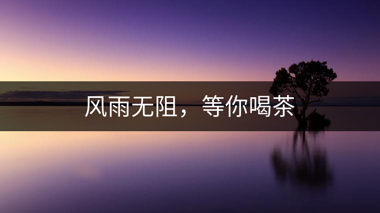 風(fēng)雨無阻，等你喝茶