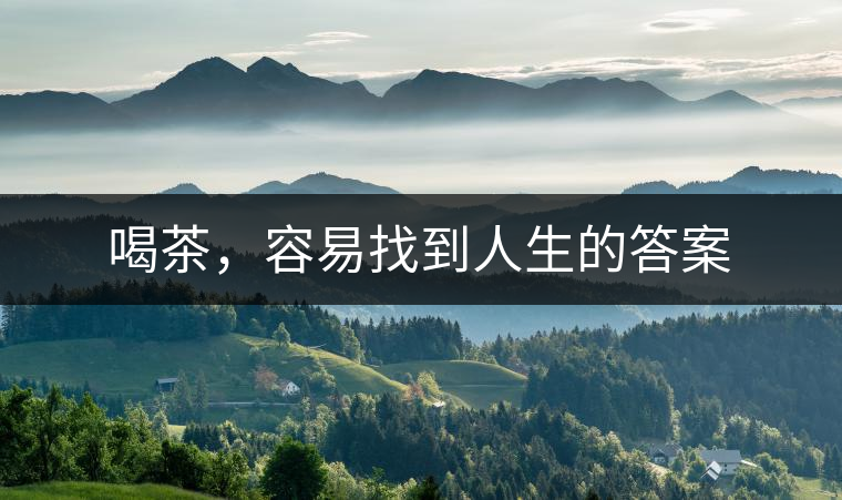 喝茶，容易找到人生的答案