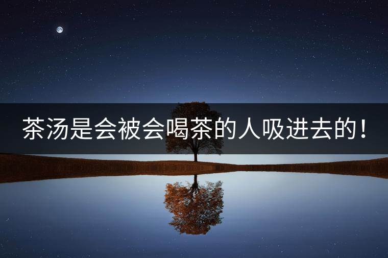 茶湯是會被會喝茶的人吸進(jìn)去的！