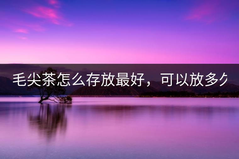 毛尖茶怎么存放最好，可以放多久？