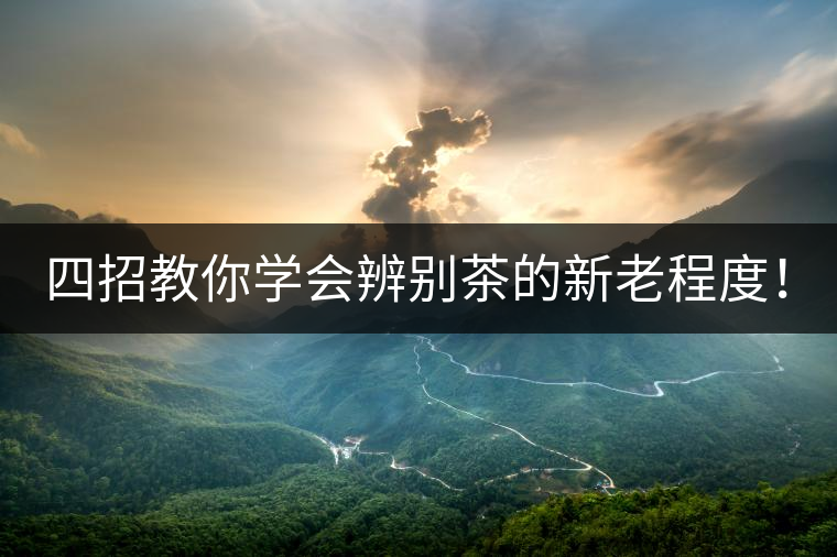 四招教你學(xué)會(huì)辨別茶的新老程度！