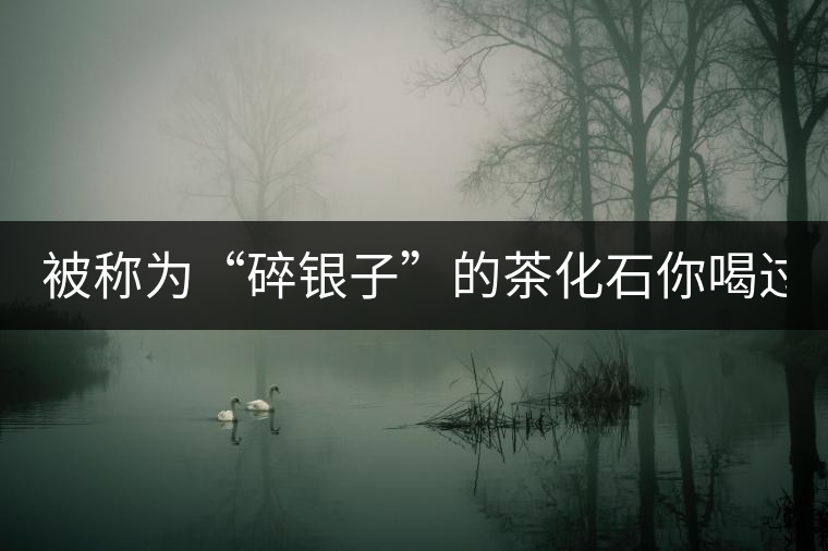 被稱為“碎銀子”的茶化石你喝過(guò)嗎？