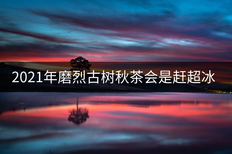 2021年磨烈古樹秋茶會(huì)是趕超冰島的存在嗎？