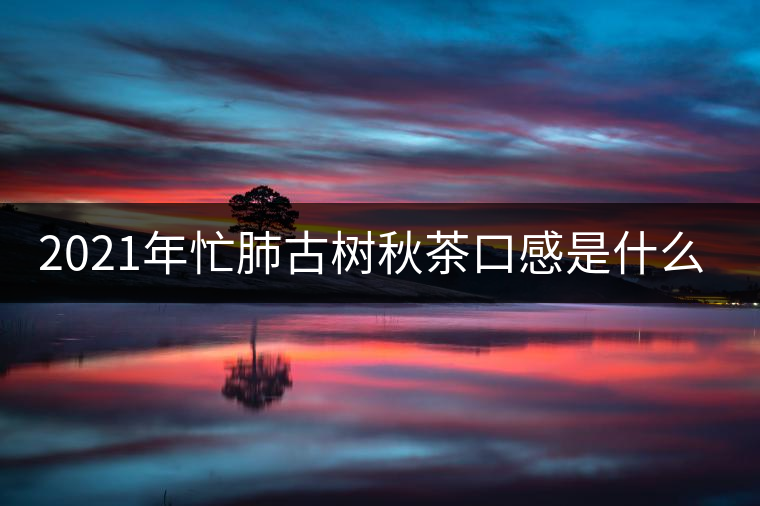 2021年忙肺古樹秋茶口感是什么? 2021年忙肺古樹秋茶口感是什么?