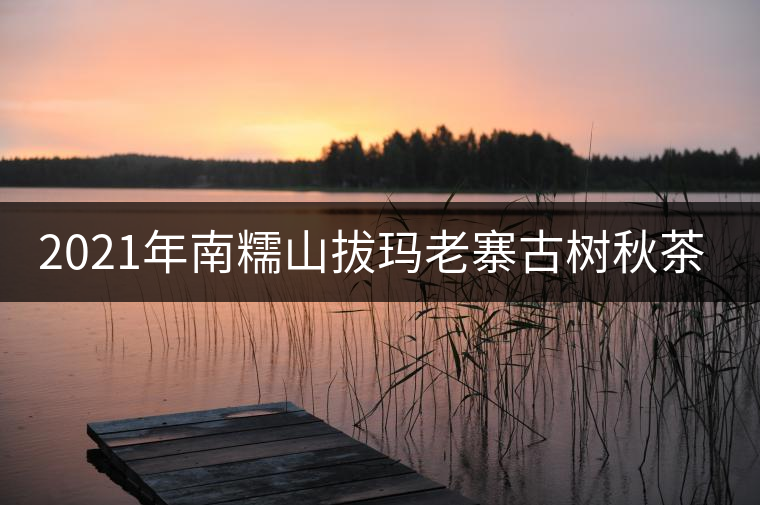 2021年南糯山拔瑪老寨古樹秋茶口感? 2021年南糯山拔瑪老寨古樹秋茶口感?