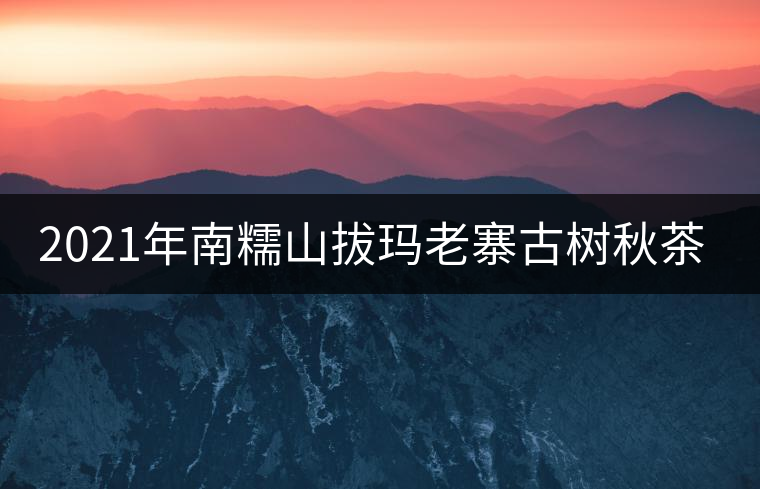 2021年南糯山拔瑪老寨古樹秋茶價(jià)格? 2021年南糯山拔瑪老寨古樹秋茶價(jià)格?