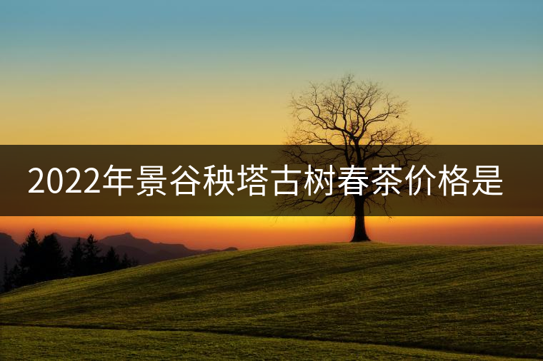 2022年景谷秧塔古樹(shù)春茶價(jià)格是多少？