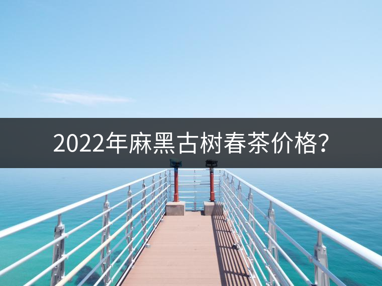 2022年麻黑古樹(shù)春茶價(jià)格？