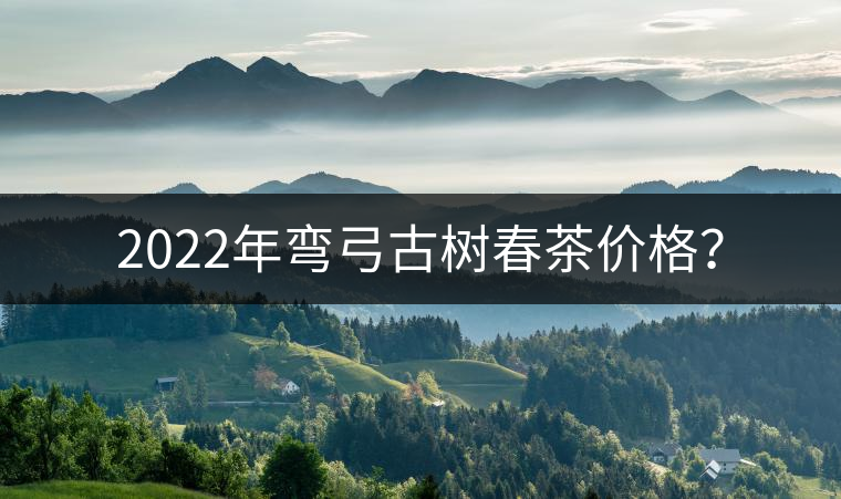 2022年彎弓古樹(shù)春茶價(jià)格? 2022年彎弓古樹(shù)春茶價(jià)格?