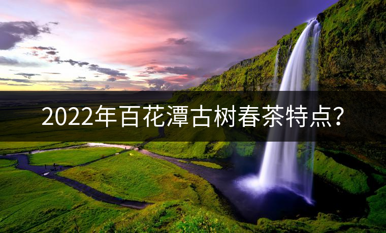 2022年百花潭古樹春茶特點？