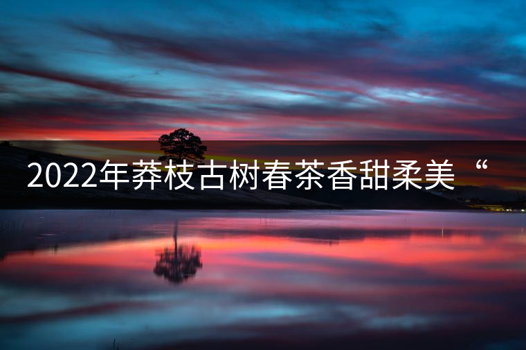 2022年莽枝古樹(shù)春茶香甜柔美“女兒茶”