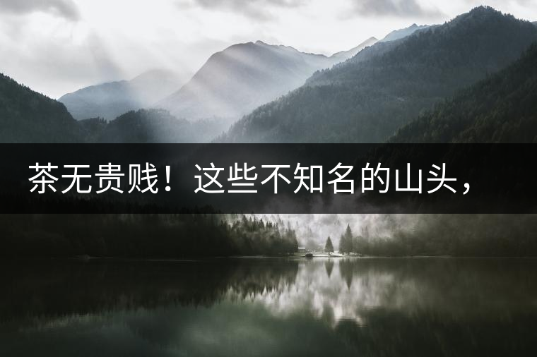 茶無(wú)貴賤！這些不知名的山頭，其實(shí)也產(chǎn)優(yōu)質(zhì)普洱茶！