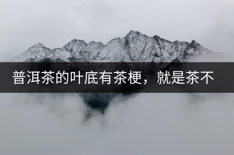 普洱茶的葉底有茶梗，就是茶不好嗎？