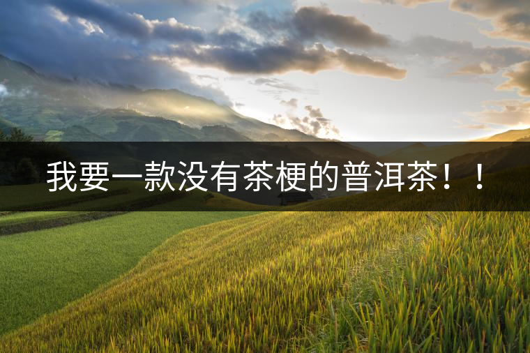 我要一款沒(méi)有茶梗的普洱茶??！