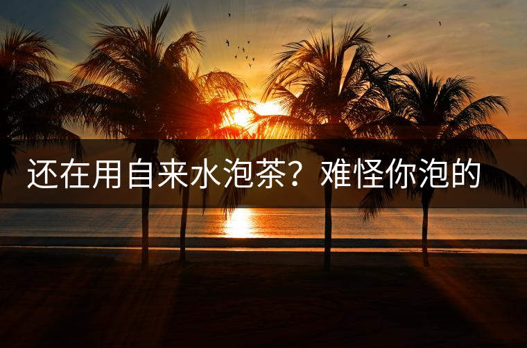 還在用自來(lái)水泡茶?難怪你泡的茶滋味不行~ 還在用自來(lái)水泡茶?難怪你泡的茶滋味不行~