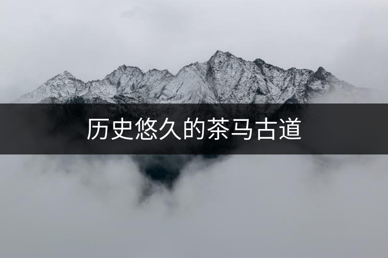 歷史悠久的茶馬古道 歷史悠久的茶馬古道