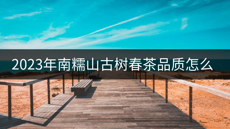 2023年南糯山古樹春茶品質(zhì)怎么樣? 2023年南糯山古樹春茶品質(zhì)怎么樣?