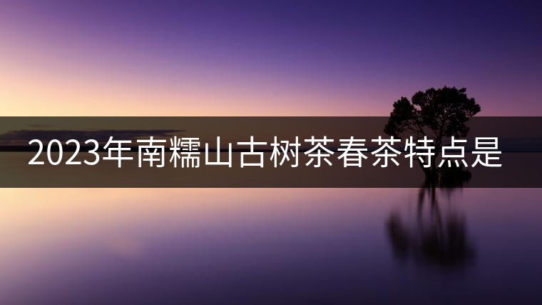 2023年南糯山古樹茶春茶特點(diǎn)是什么？