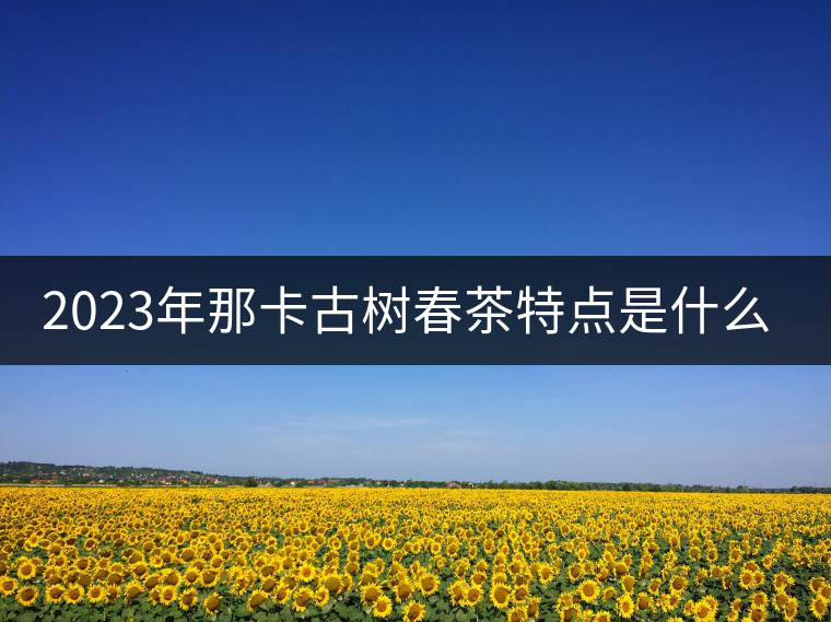 2023年那卡古樹(shù)春茶特點(diǎn)是什么？