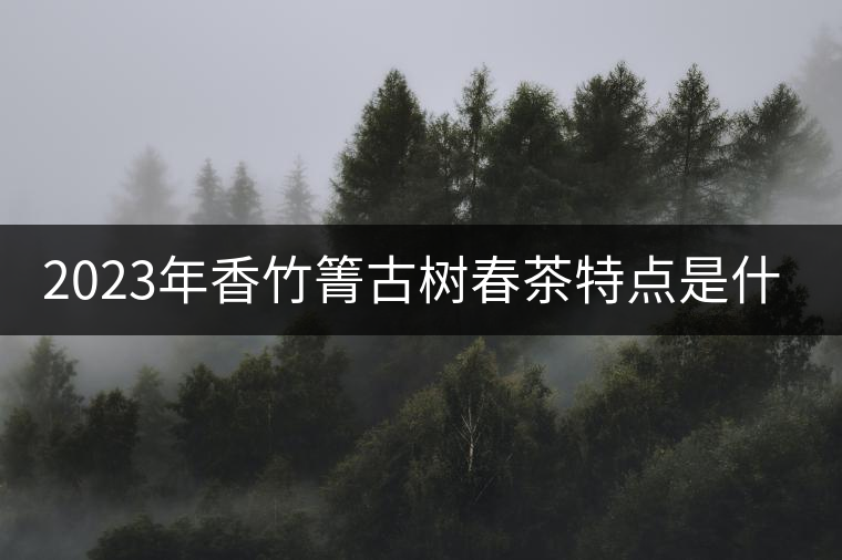 2023年香竹箐古樹春茶特點(diǎn)是什么? 2023年香竹箐古樹春茶特點(diǎn)是什么?