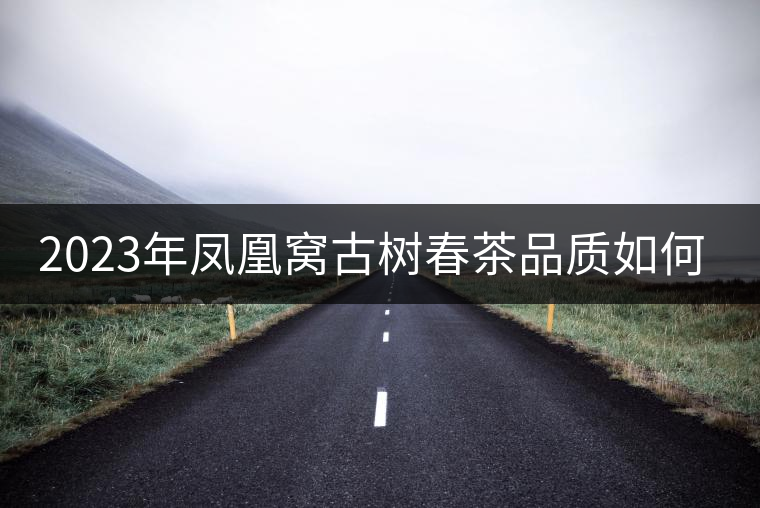 2023年鳳凰窩古樹春茶品質(zhì)如何？