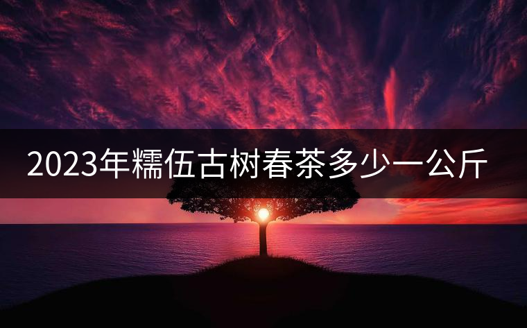 2023年糯伍古樹春茶多少一公斤？