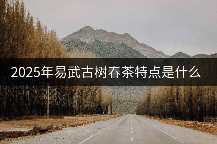 2025年易武古樹春茶特點是什么？