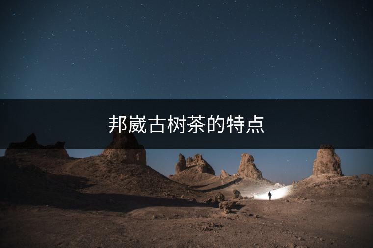 邦崴古樹(shù)茶的特點(diǎn)