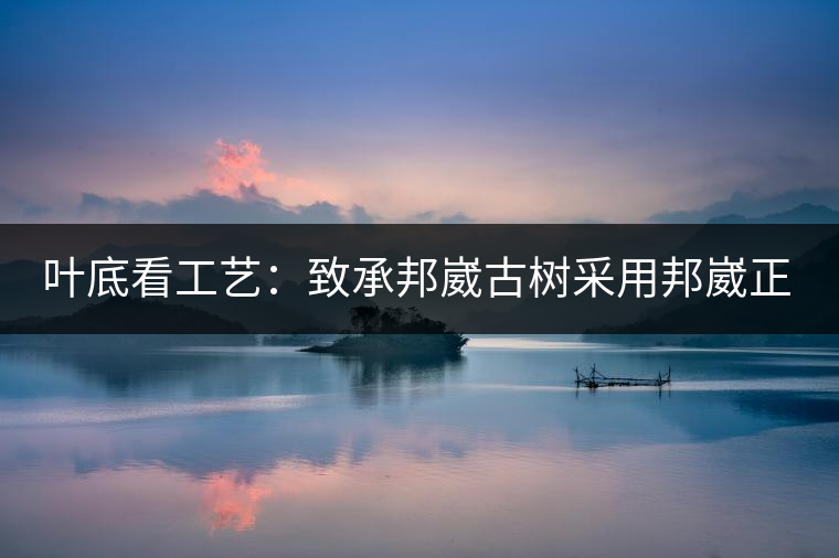 葉底看工藝：致承邦崴古樹采用邦崴正山三百至五百年古茶樹頭春鮮葉。經(jīng)手工殺青，石墨壓制，餅型周正，嚴(yán)守傳統(tǒng)工藝；葉底鮮活，幾乎無(wú)糊點(diǎn)，前期殺青較輕，這樣更利于后期轉(zhuǎn)化。