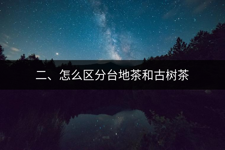 二、怎么區(qū)分臺地茶和古樹茶