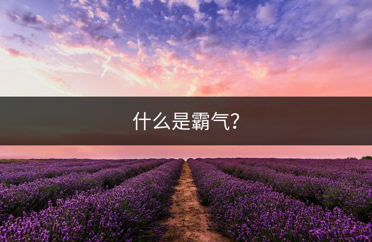 什么是霸氣？