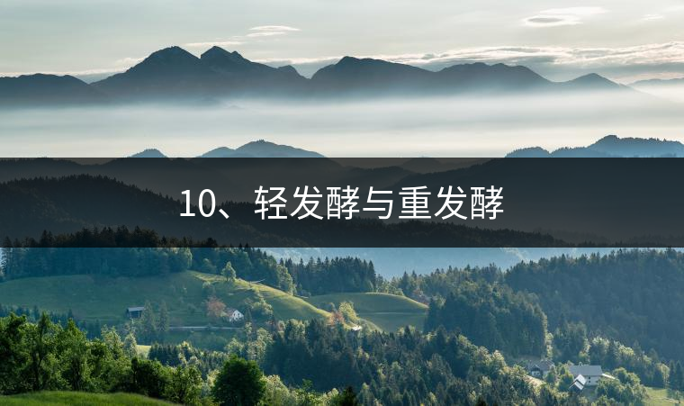 10、輕發(fā)酵與重發(fā)酵