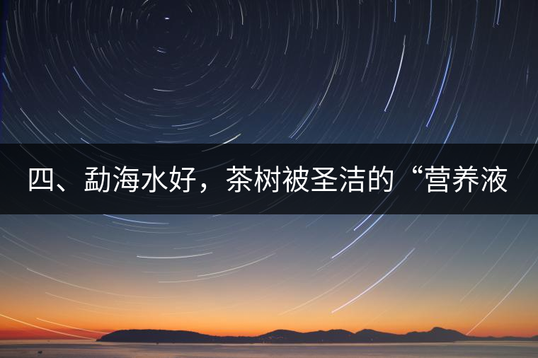 四、勐海水好，茶樹被圣潔的“營(yíng)養(yǎng)液”所滋養(yǎng)