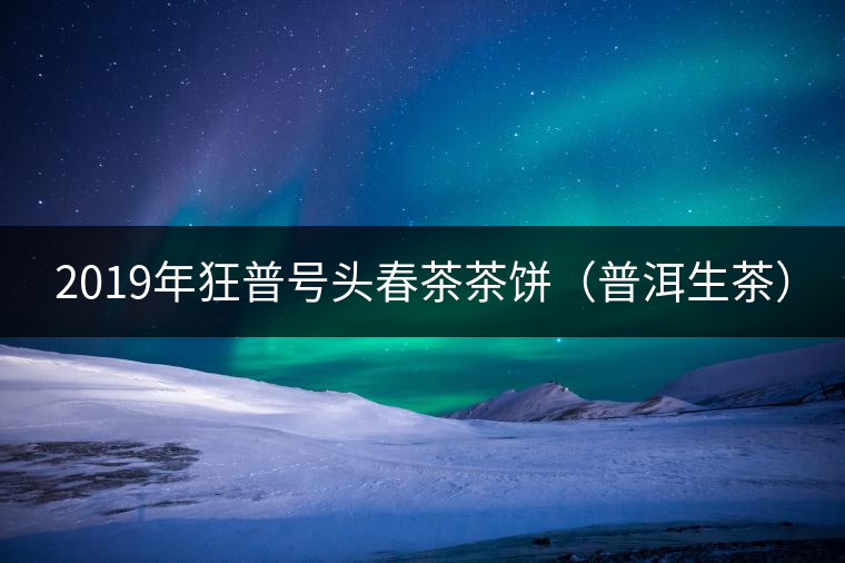 2019年狂普號(hào)頭春茶茶餅(普洱生茶) 2019年狂普號(hào)頭春茶茶餅(普洱生茶)