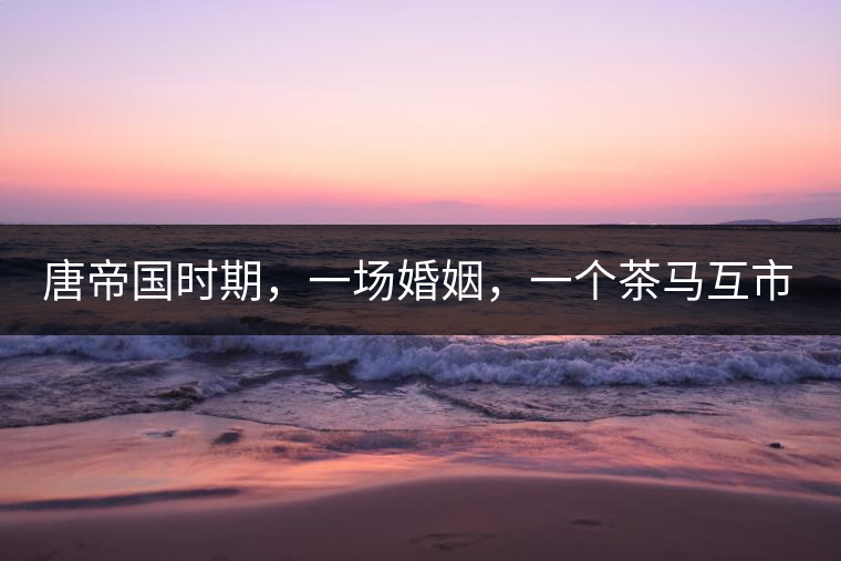 唐帝國時期，一場婚姻，一個茶馬互市，讓這里結(jié)束了漢藏對峙。宋代南茶北，西北茶馬司設(shè)立，因茶而改變的生活日益凸顯。元代八思巴與忽必烈在這一區(qū)域結(jié)盟，為蒙藏兩大民族交往鋪好通衢大道，明代俺答汗與達賴在山海之間追思各自先人，青海人宗喀巴創(chuàng)建的黃教通過蒙、藏兩大領(lǐng)袖的推廣，締造了影響至今的格局。大清經(jīng)過康、雍、乾三代勵精圖治，滿、藏、蒙各自龐大的疆域第一次完整地統(tǒng)轄在中央帝國的版圖下。