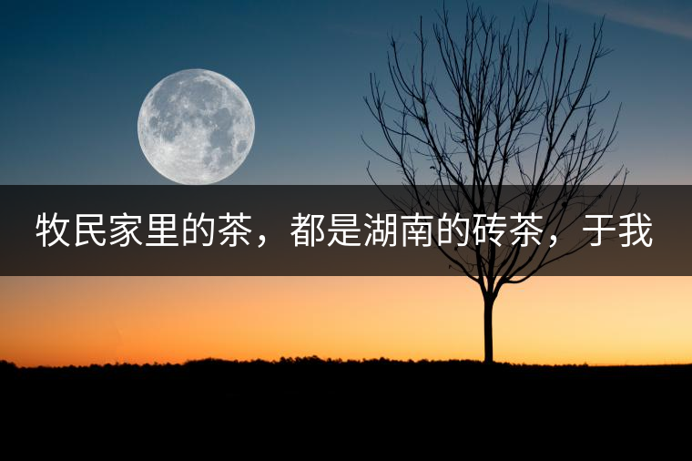 牧民家里的茶，都是湖南的磚茶，于我們而言不見得有多好，它們粗糙得看可見茶梗和樹枝，但于他們來說，卻是每日的生活必需品。端到桌上的茶碗，也是缺了口鋦過青花瓷碗，聞得見修補后的手溫，喝下加過鹽巴的磚茶，一身暖意，融化了深藏在發(fā)底的冰屑，溫暖著身心。