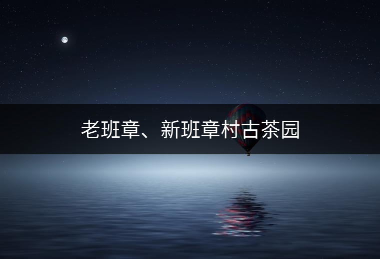 老班章、新班章村古茶園